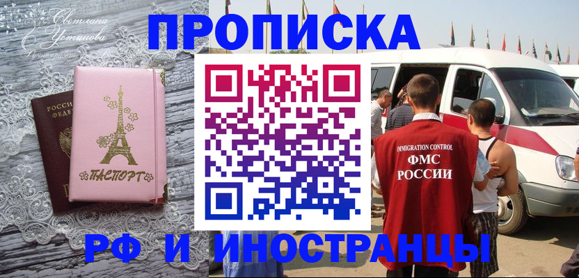 прописка поиск в Березниках